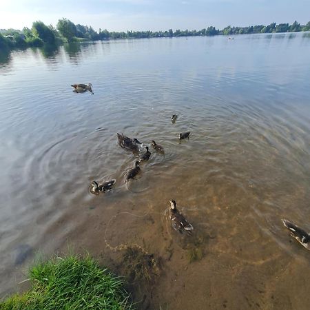 Ferienhaus Am See-2 Hungen 외부 사진